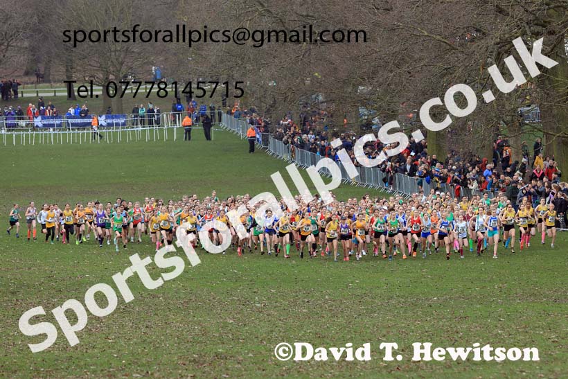Girls Under-13s, 2024 CAU Inter Counties Cross Country Champs., Wollaton Park, Nottingham. Photo: David T. Hewitson/Sports for All Pics